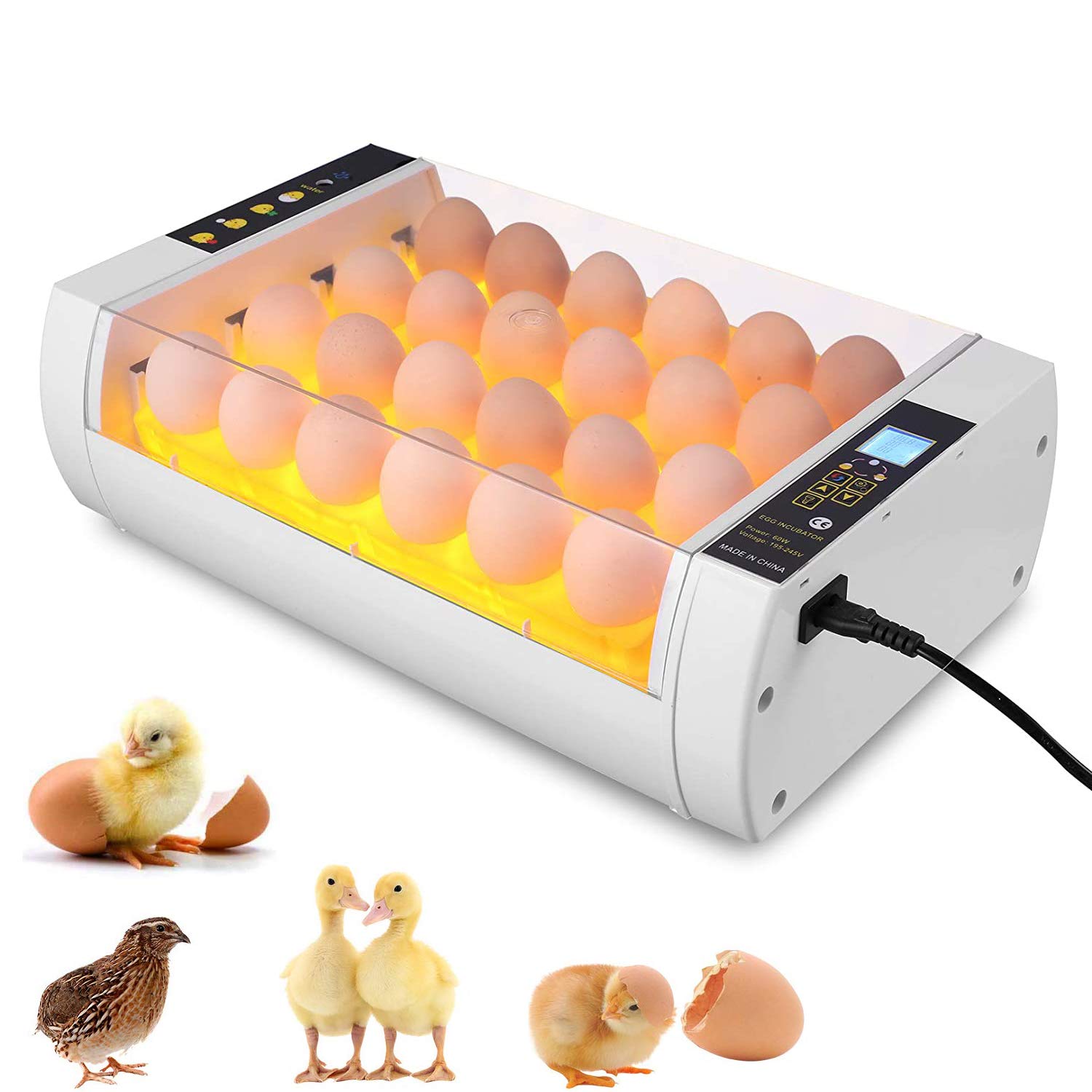 Buy 24 Egg Incubators for Hatching Eggs, Automatic Digital Poultry Egg