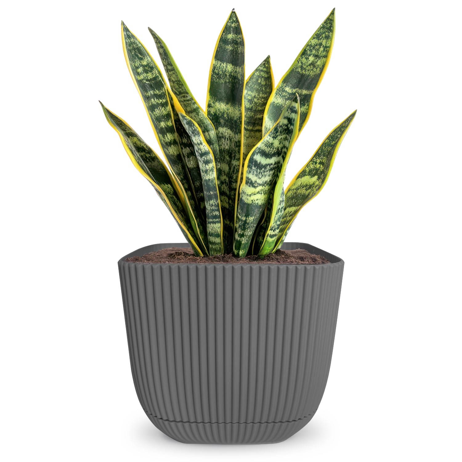 Alqua Grey 19Cm Square Self Watering Plant Pot – Plastic Flower Pot With Drainage – Large Modern Matte Planter For Indoor & Outdoor Use – Decorative Square Garden Pot – Stylish Plant Container