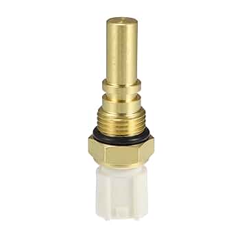 雪 Arterial-Lymphatic-Like Endothelial Cells Appear in