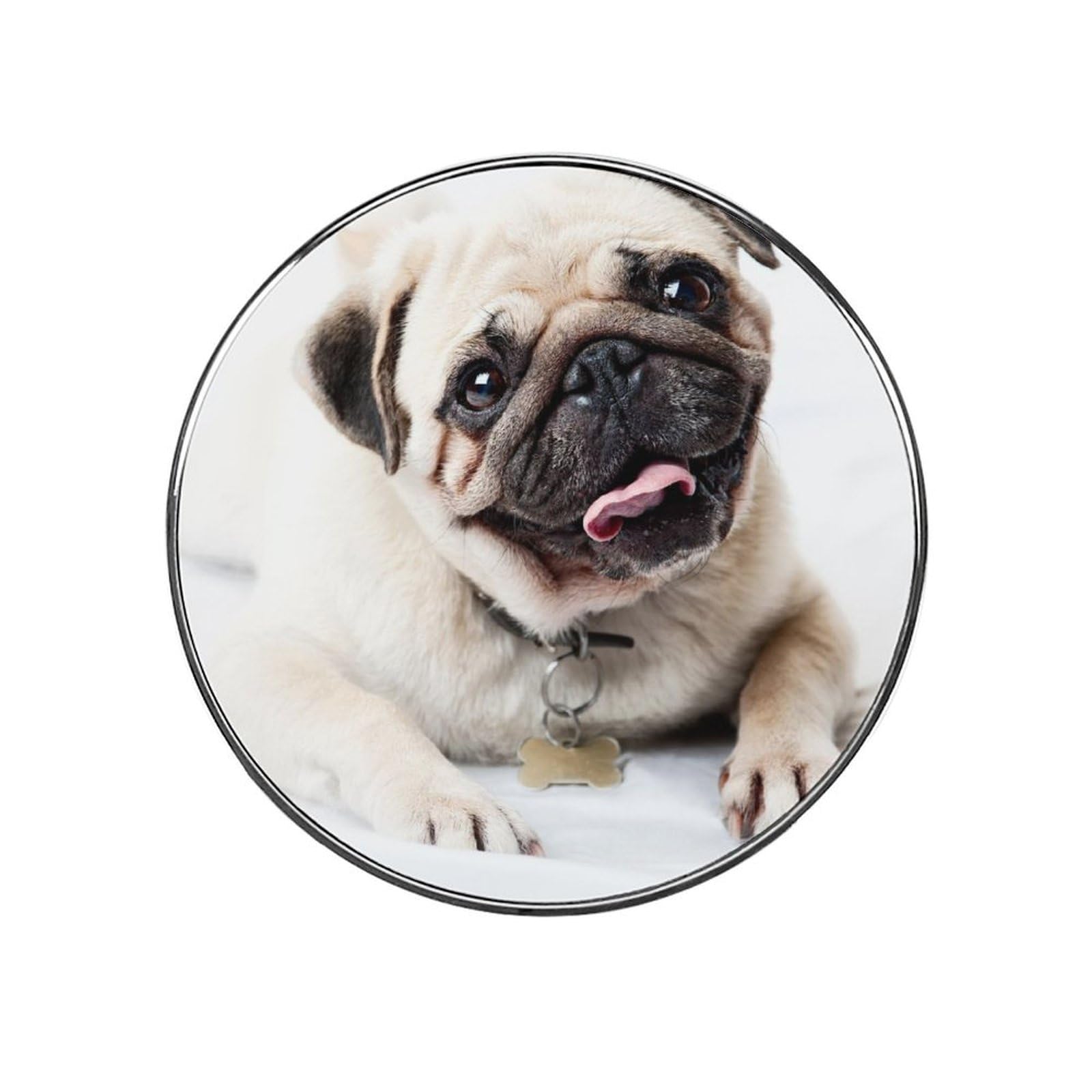 Pugs Magnets For Fridge Kitchen Decoration For Refrigerators Whiteboards