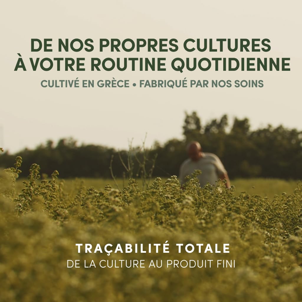 Huile d'Origan Grec 86-90% de Carvacrol – Complément Alimentaire – 60 Gélules