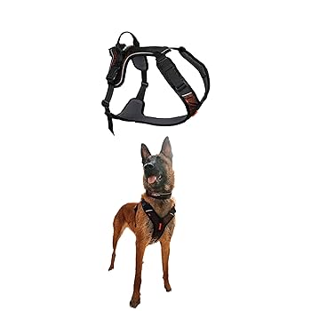Non-stop dogwear ノンストップドッグウェア　ハーネス Amazon.co.jp: ノンストップ ドッグウェア ロックハーネス 調節