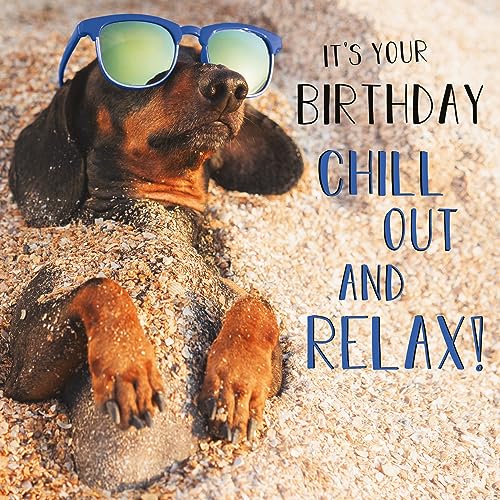 Abacus Cards Male/Female Birthday Card - General Funny Card for Men/Women - 'Chill Out and Relax' Dachshund Dog on Beach - Eco-Friendly & Recyclable - Made in the UK