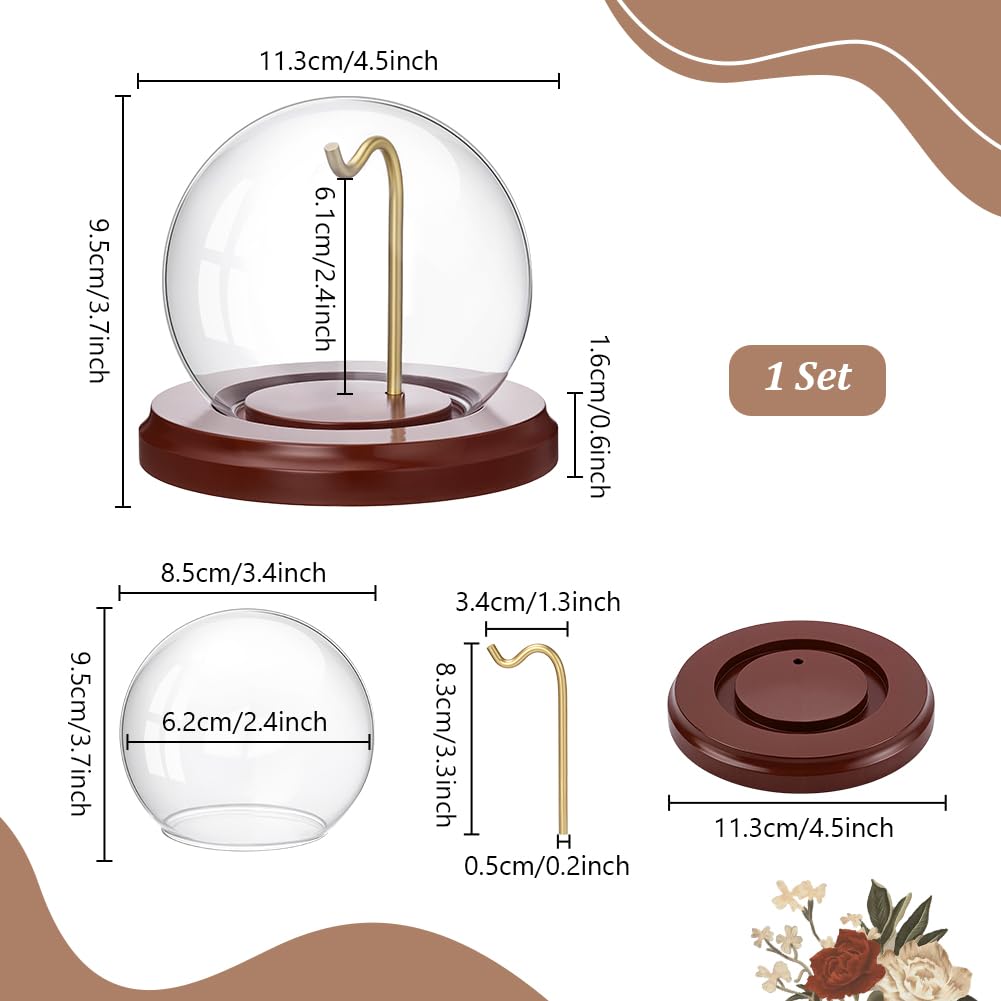 PH PandaHall 9.5x11.3cm Cloche de Présentation pour Montre de Poche, Dôme en Verre avec Base en Bois et Crochet Métallique pour Montres de Poche Médailles Objets Photos Ornements