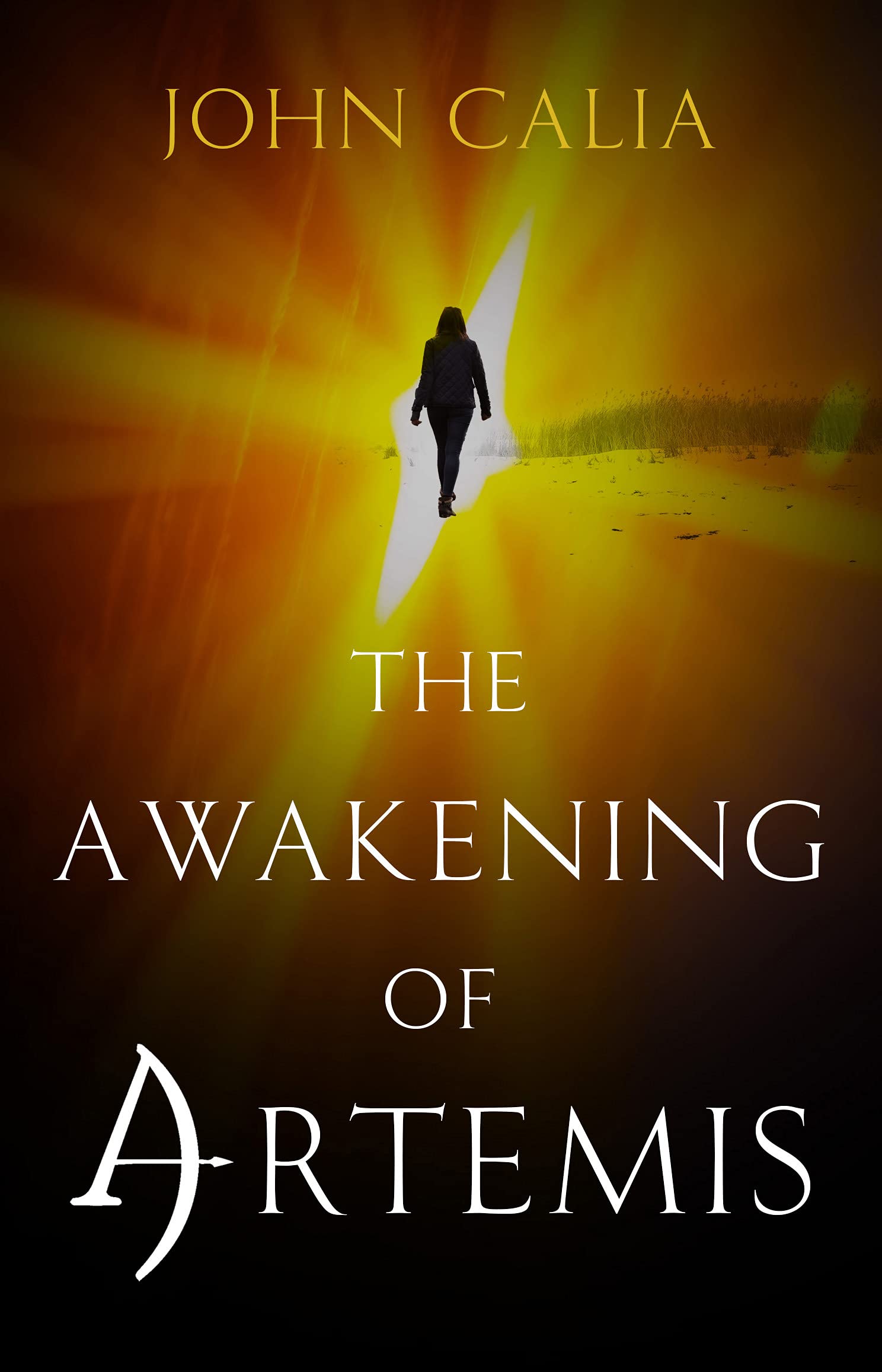 The Awakening of Artemis (Artemis Book 1)