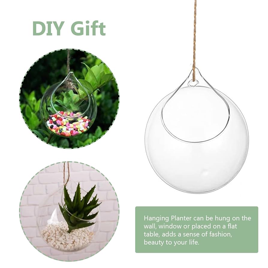 Amazon.co.jp: ハンギングガラステラリウム、2個ガラス