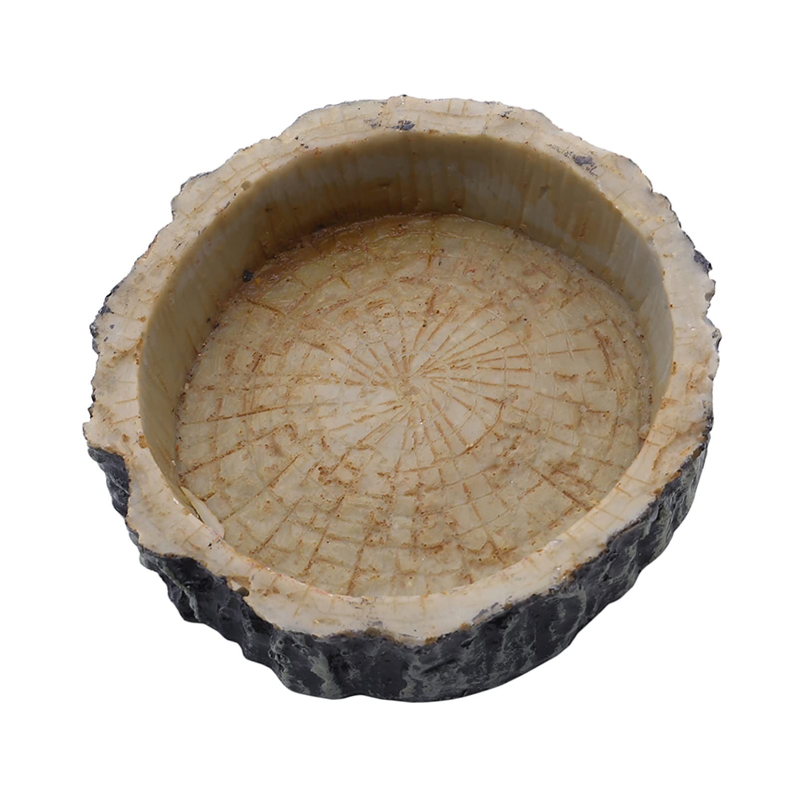 Serbatoio di tartaruga Scatola di alimentazione rettile ciotola di alimentazione for animali domestici pentola resina cibo bottiglia d'acqua rettile lucertola granchio forniture for animali domestici