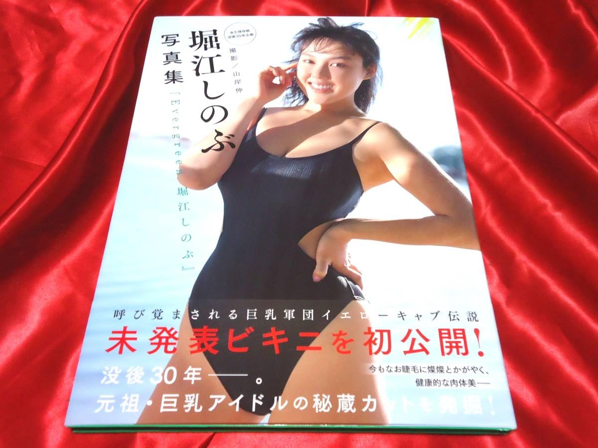 堀江しのぶ写真集 堀江しのぶ Evergreen 帯付き おもちゃ - ⁄ メルカリ 