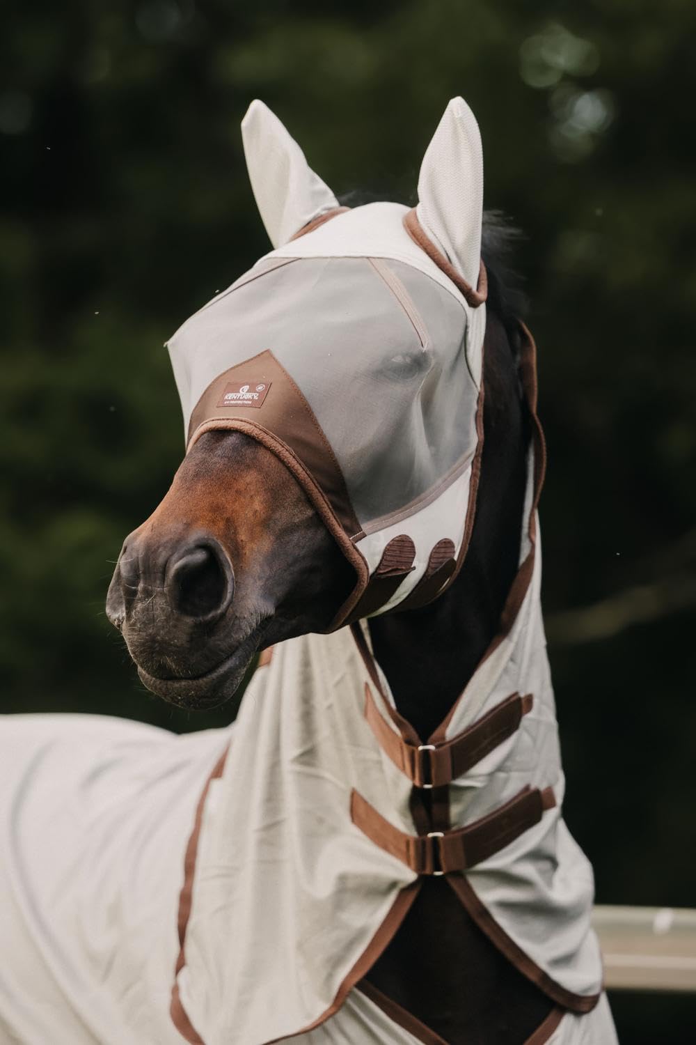 Kentucky Horsewear - Masque Anti-Mouches Classie - Professionnel - Noir - Moyen
