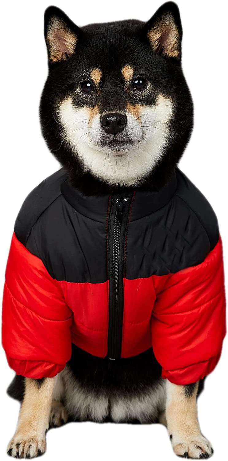 Manteau chaud pour chien et chat XL qui protège de la neige et des frissons
