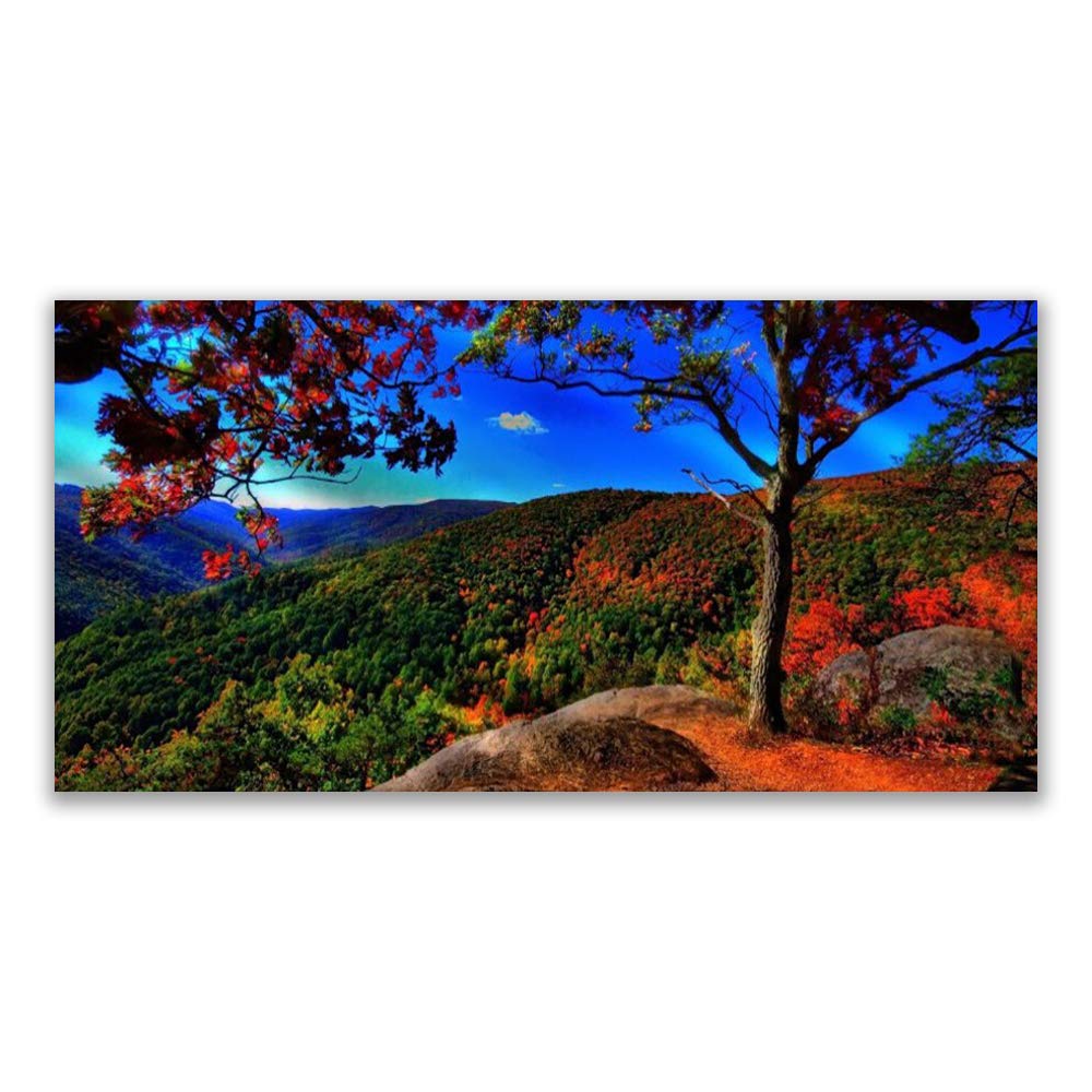 Impression sur verre trempé 120x60 cm motif nature forêt pour une décoration murale moderne