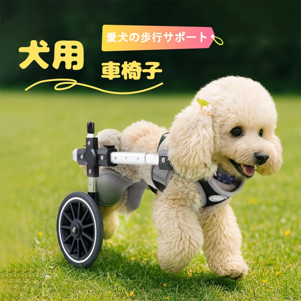 Amazon.co.jp: 犬用車椅子 四輪 軽量 安定設計 歩行補助 ペット