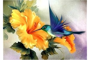 ACANDYL Acrylic Paint by Number Kits: Unwind with Hummingbird Tranquility
