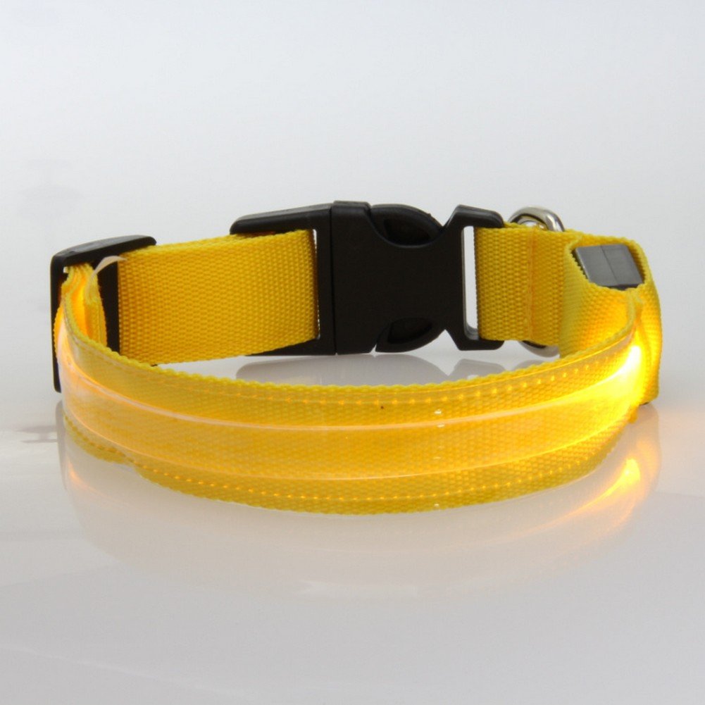 ACEVERLED Pet Collar with Flashing Lights