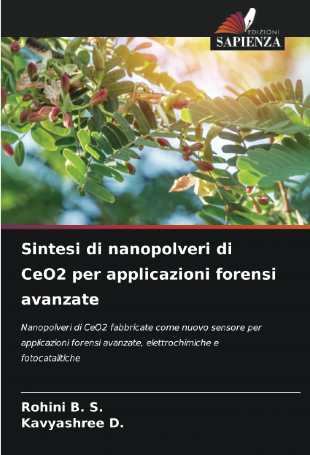 Nanopoudre de CeO2 pure pour applications scientifiques de pointe