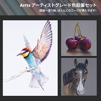専用　色鉛筆画　原画　オーダーページです 専用 色鉛筆画 原画 絵画 オーダーページです - メルカリ