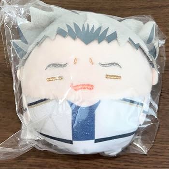 ハイキュー!! ふわコロりん Mサイズ 木兎光太郎 しょぼくれ ハイキュー！！ ふわコロりんMsizeスペシャルF：木兎光太郎