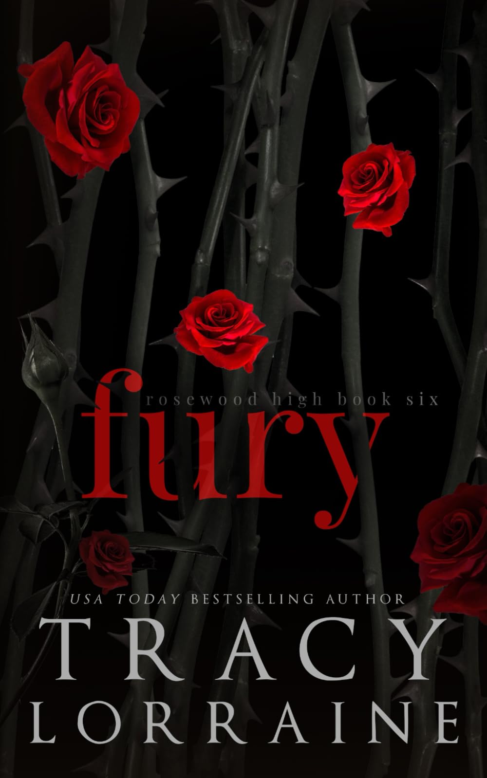 Fury: A Dark High School Bully Romance (Rosewood High Alternate Editions)