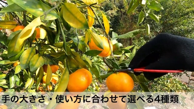 Amazon.co.jp: アルス 採収鋏 柄が大きく・直刃 400-BP : DIY・工具