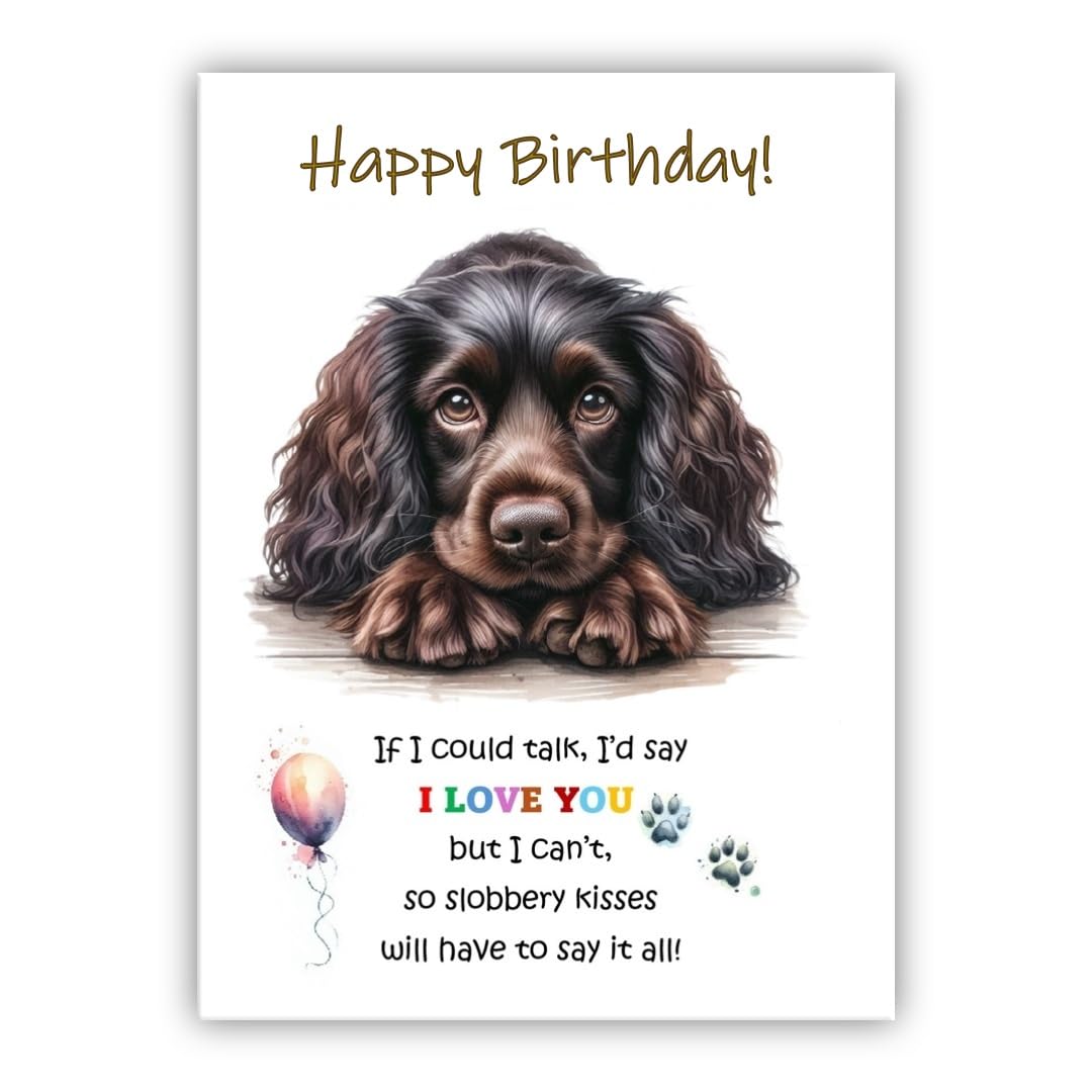 Dog Lovers Birthday Card. Boykin Spaniel Birthday Card from the dog to the owner, Mum, Dad, Mummy, Daddy, Mother, Father. (Boykin Spaniel)