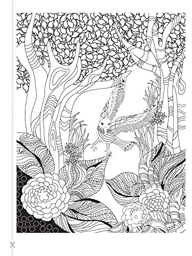 Natureza Para Colorir: Liberte sua Mente e Relaxe