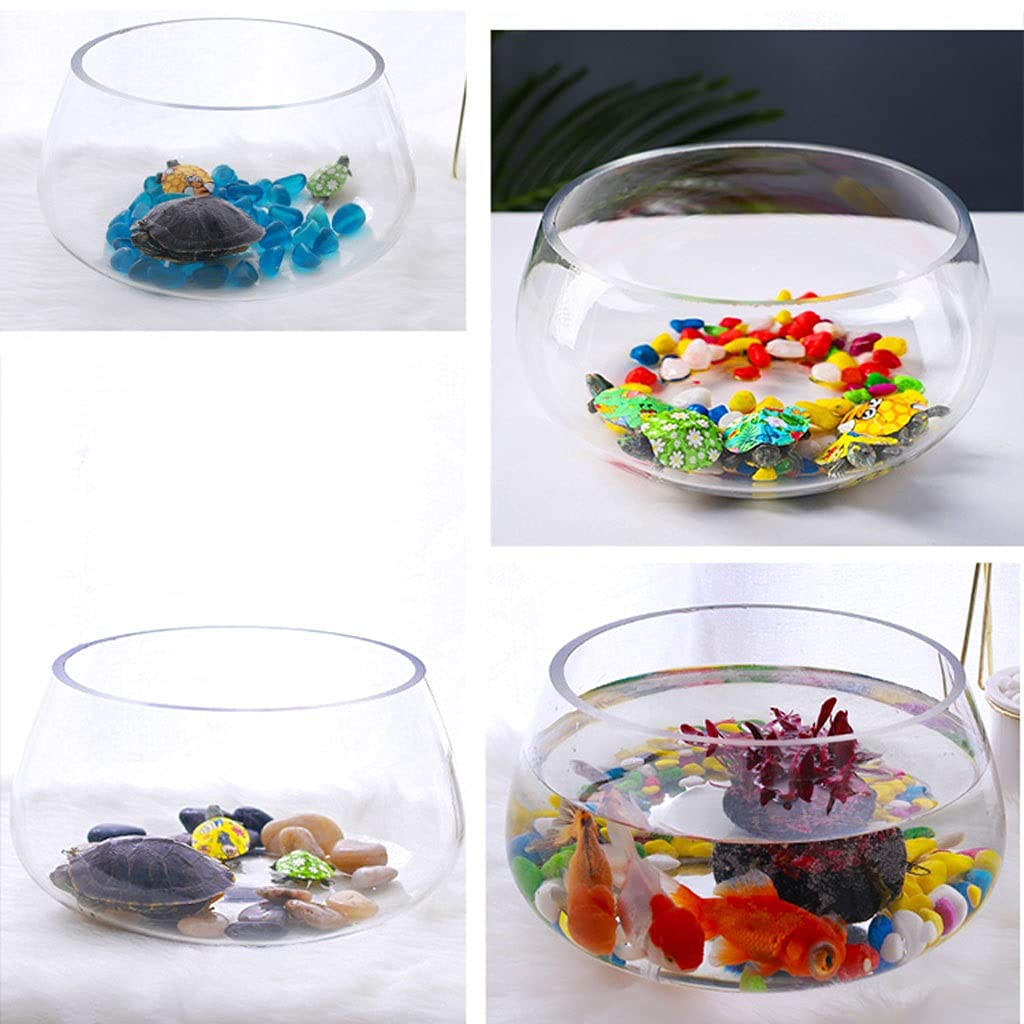 Pecera de Escritorio de Cristal Transparente, pez Goudfish Ornamental con Base, Tortuga pequeña, Oficina, Acuario doméstico