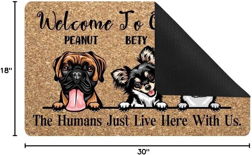 Door Mat 30"x18", Dog Name Welcome to Our Home - Custom Personalized Low Profile Floor Mat Front Doormat Indoor Outdoor Welcome Door Mat Non Slip Rugs for Entryway, Patio, High Traffic Areas