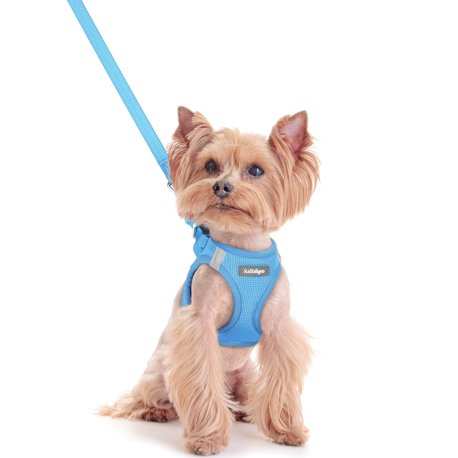 rabbitgoo Dog Harness Small Dog and Leash Set, Step-in Soft Mesh Puppy Harness with Reflective Strips, Lightweight Breathable Pet Vest for Walking Training, Blue, XXS