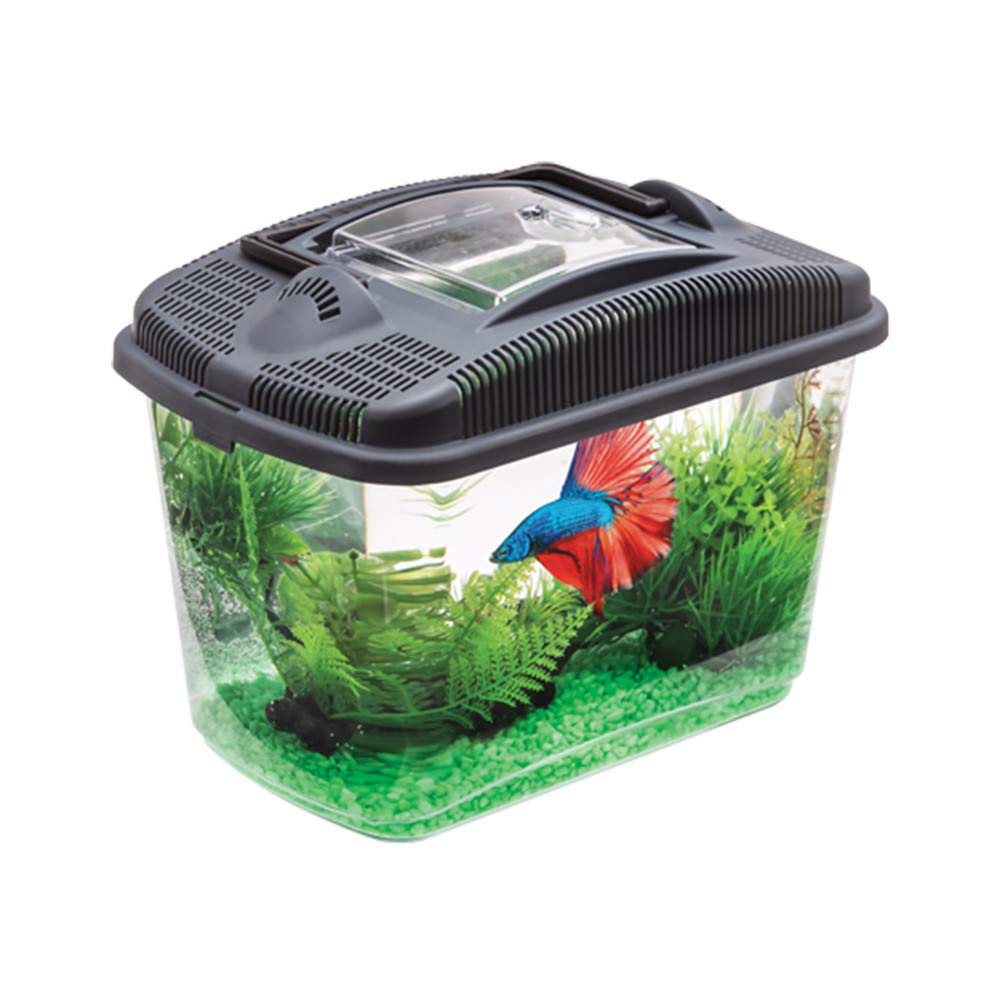 AquaEl Betta Kit évitez le stress de votre poisson avec ce kit