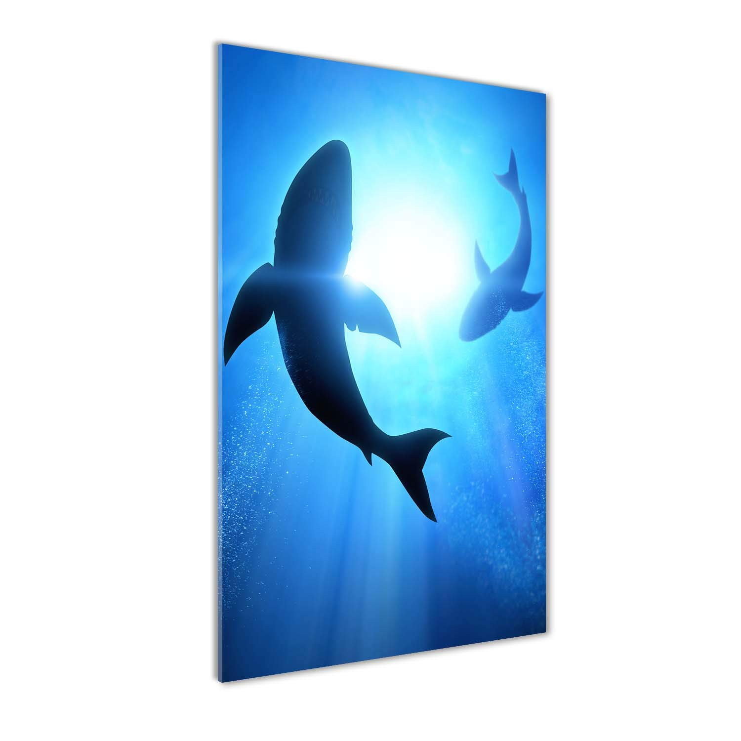 Déco mural derrière le plastique Tulup | Tableau premium en verre acrylique 50x100 cm