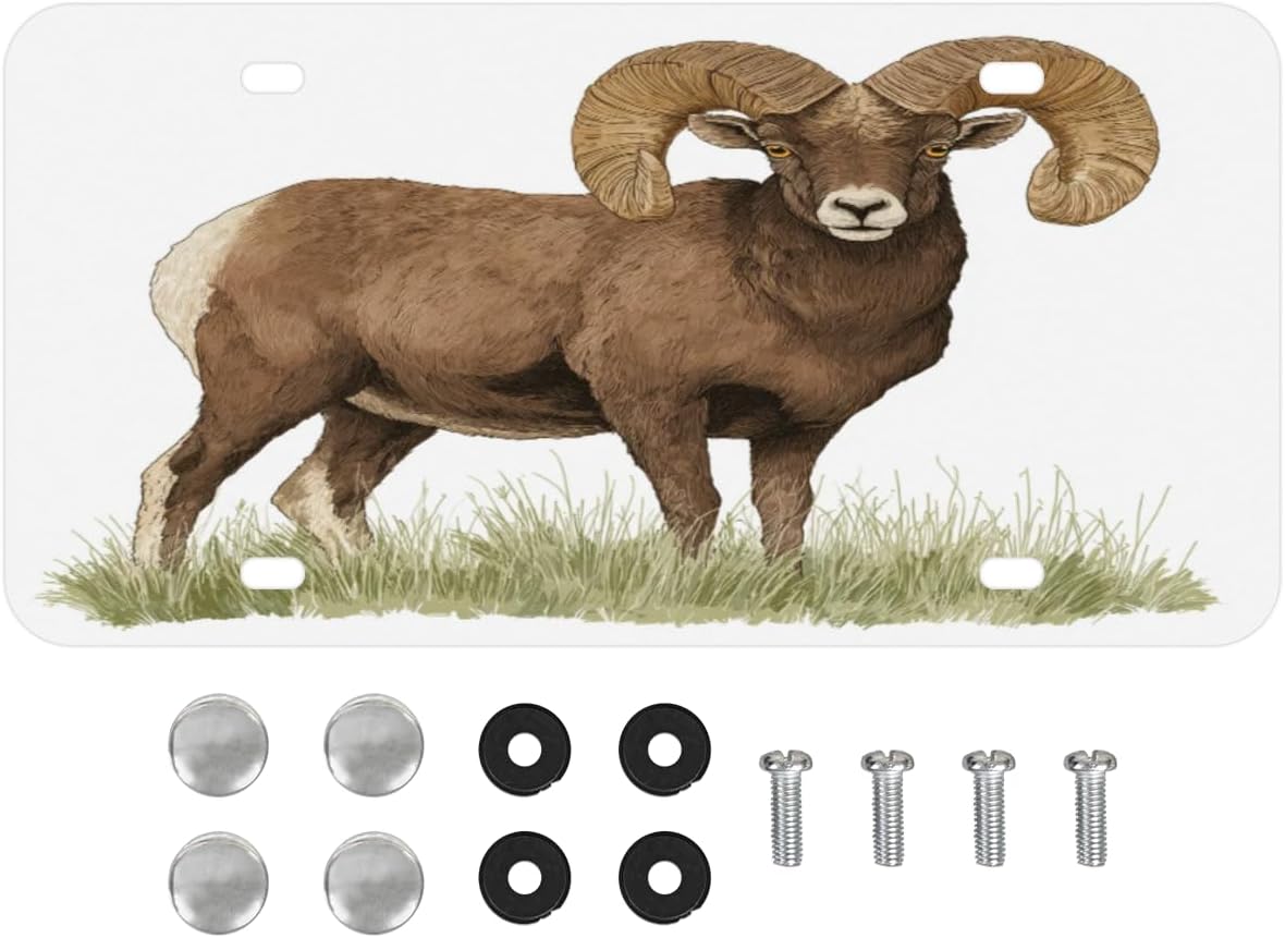 Bighorn Ram License Plate, Funny Novelty Car Front License Plate, Stainless Aluminum Metal Auto Accessories Decorative License Tag for Women Men, 6x12 Inch, Mountain Sheep