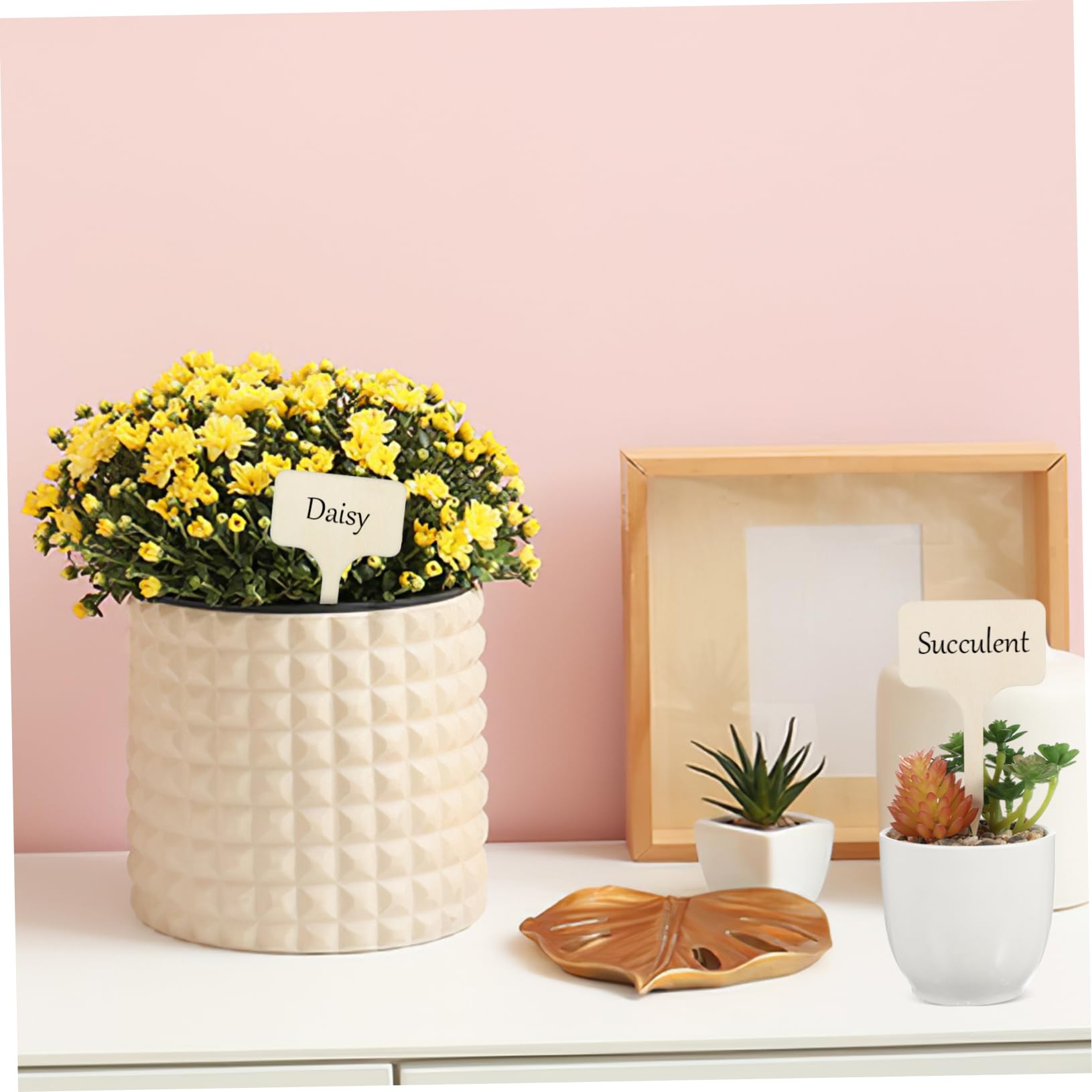 BESPORTBLE Lot De 4 Marqueurs De Plantes Pour Étiquettes De Nom De Plantes Insertion Facile Étiquettes De Plantes En Bois Signes 50 Pièces X 4