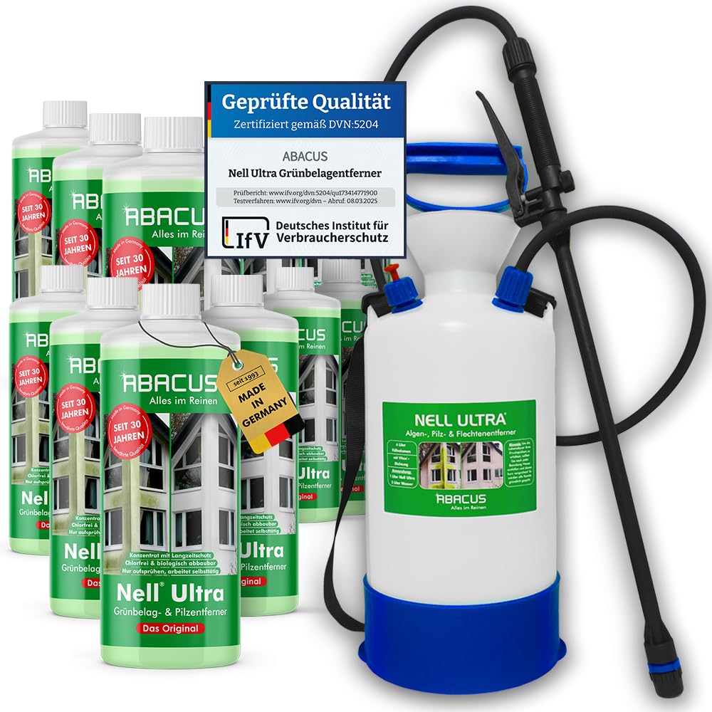 Come Rimuovere Muschio, Alghe E Licheni Dagli Esterni - Foto 10