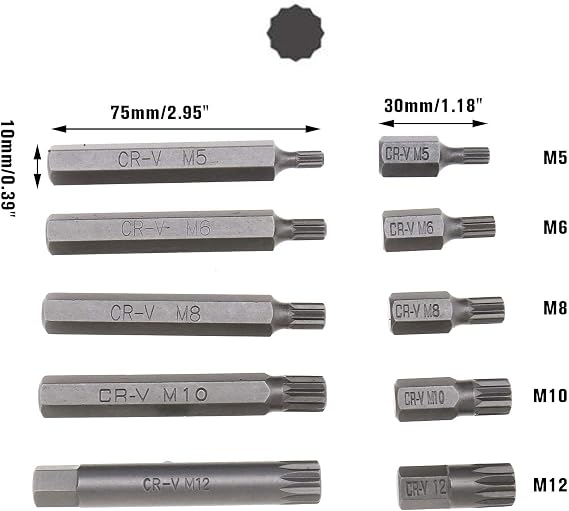 40Pcs Combination Bit Socket Set, Hex Triple Square Torx Bit for 30 and 75mm in Length (Cr-v) - with 3/8 and 1/2 Drive Socket