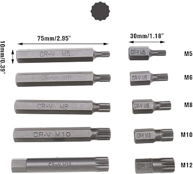 40Pcs Combination Bit Socket Set, Hex Triple Square Torx Bit for 30 and 75mm in Length (Cr-v) - with 3/8 and 1/2 Drive Socket