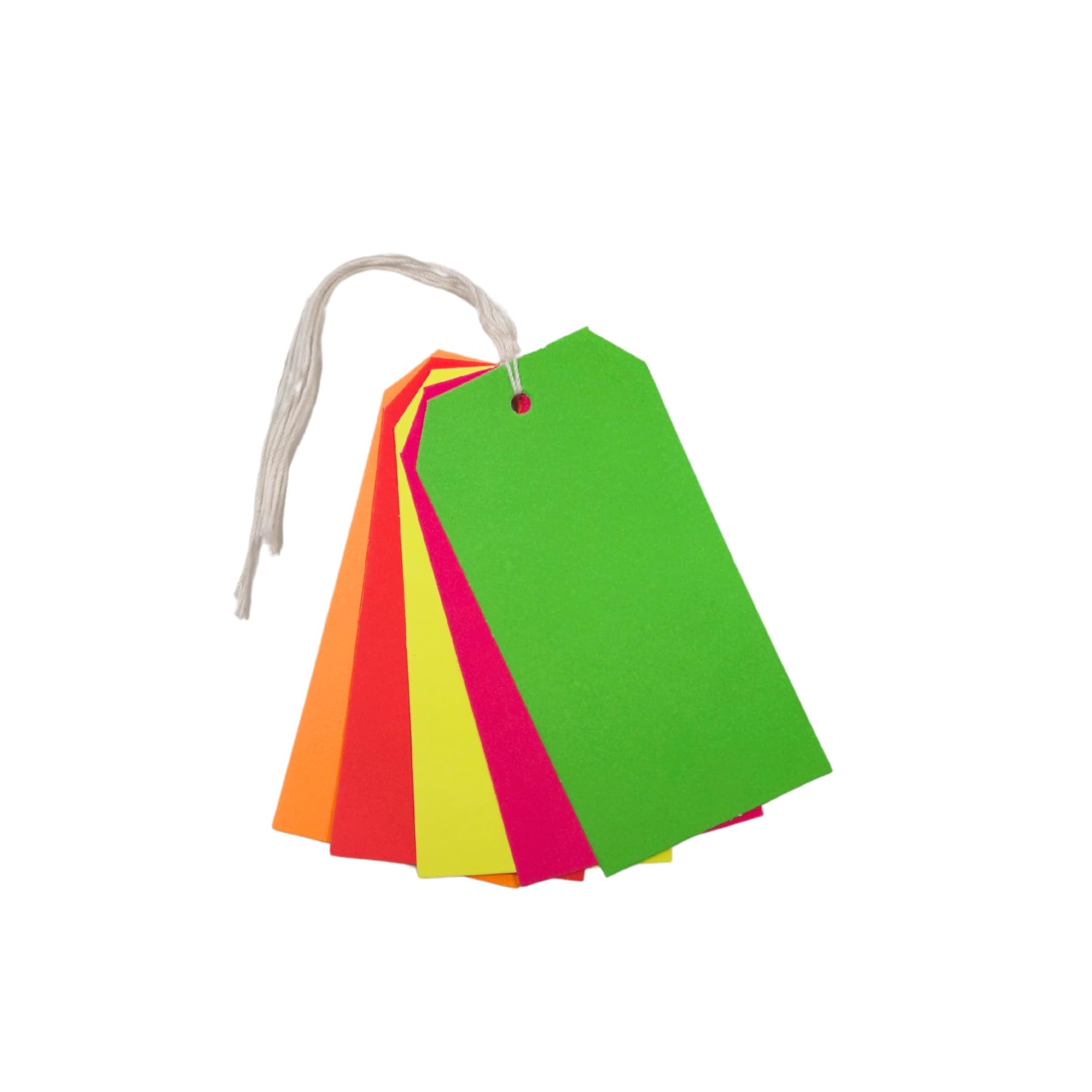 Pack of 30 Assorted Colour Neon Fluorescent Luggage Strung Tags 60 x 120mm