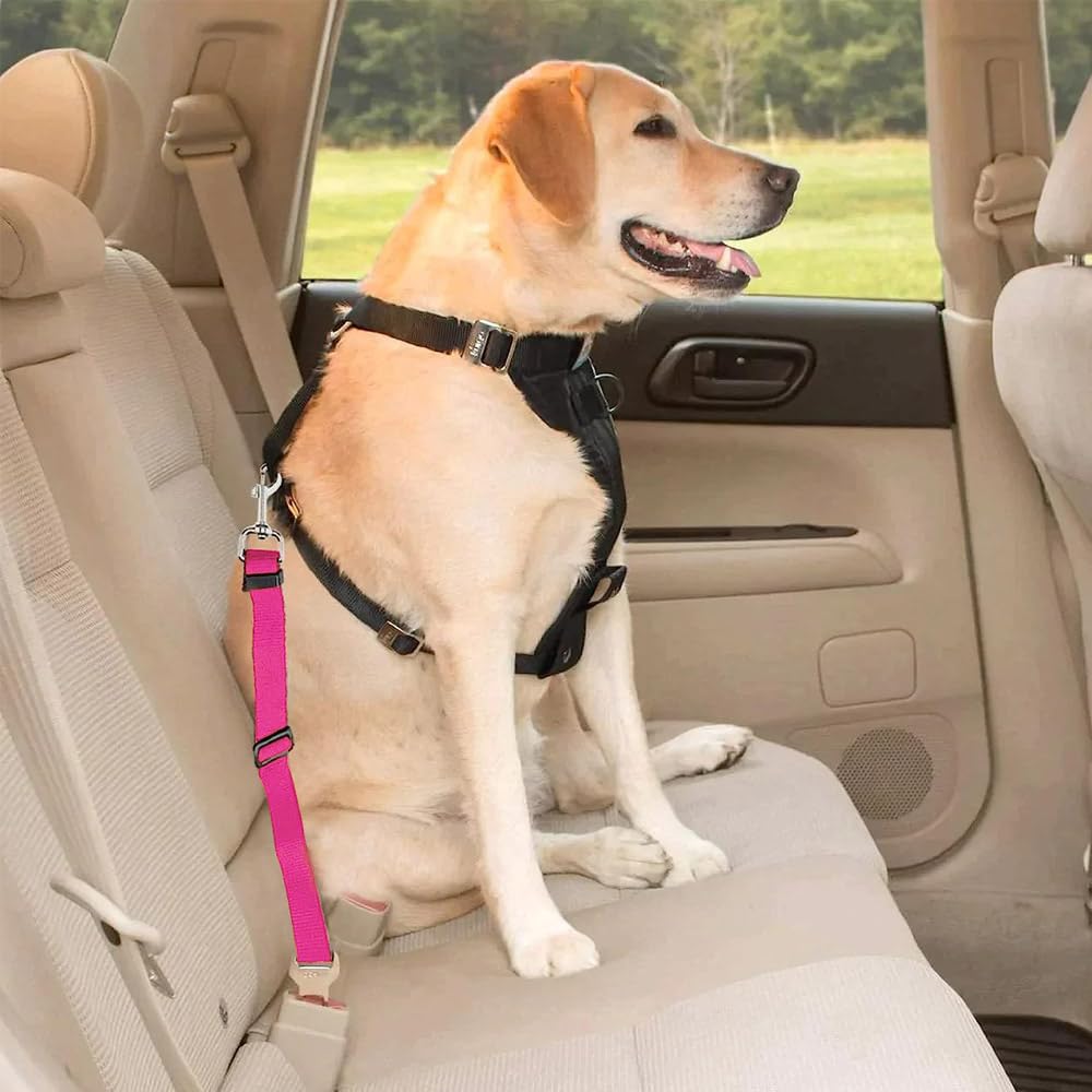 Ceinture de sécurité pour Chiens, Animaux pour Voiture, réglable, Rose