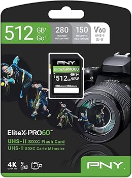 Amazon.com: PNY 512GB EliteX-PRO60 UHS-II SDXC Memory Card