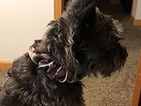 Review Image by Manila Mike Manila Mike