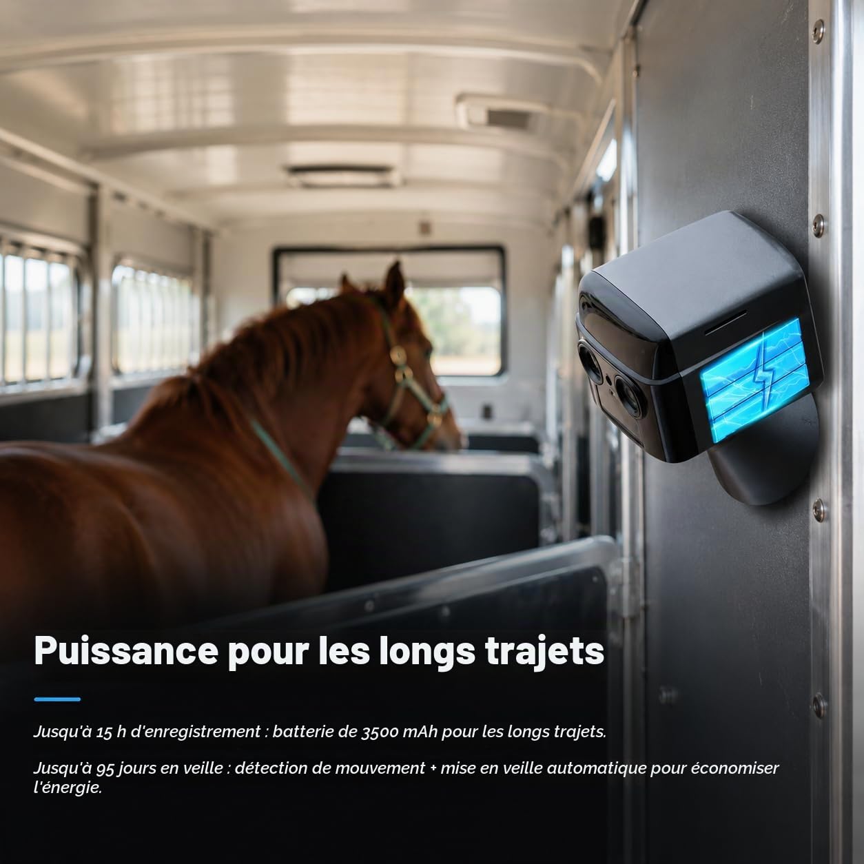NomadEye Caméra Sans Fil pour Van à Chevaux – Vidéo 4K en Direct sur Votre Téléphone avec Vision Nocturne, Audio Bidirectionnel, Batterie 15 h, Fixation Magnétique – Aucun Wi-Fi dans le Van Nécessaire