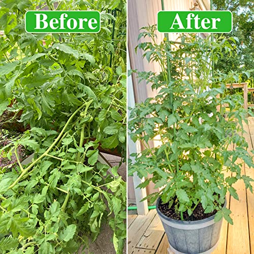 Halatool 2 Packs Tomato Cage, Up To 62In Tomato Trellis Expandable Tomato Cages For Garden Tomato Plant Stakes With 60 Twist Ties Tall Tomato Cages With Adjustable Snap-On Arms For Vegetables Flowers #TOP4