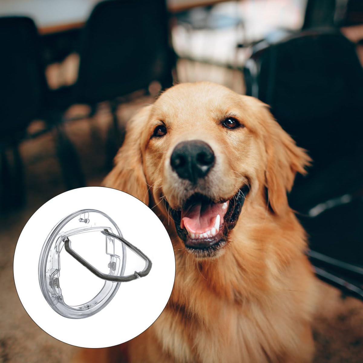 Artibetter Porta Bidirezionale Domestici Plastica in per Animali Rotonda Struttura e di Stabile Accesso, per Porte Cani e Gatti