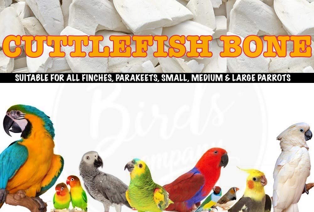 The Birds Company Cuttlefish Bone, Bird Calcium for Finches, Budgies, Conures, Lovebirds, Cockatiels & Seed Blend of 9 Grains & Nuts, with Spirulina & Cuttlefish Bone, Bird Food for Parrot 1