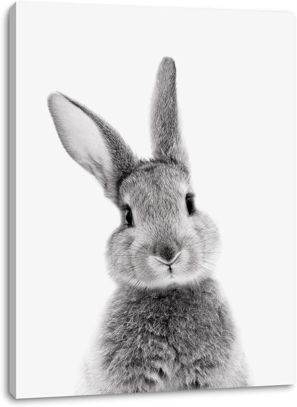 DakTenn Rabbit Wall Art Bunny Wall Art Bunny Decor Lovely Rabbit Posters for Rabbit Nursery Wall Art Framed Easter Artwork Home Decor Nursery Wall Decor for Bedroom Bathroom Bunny Poster Bunny Pictures 24x32 Inches