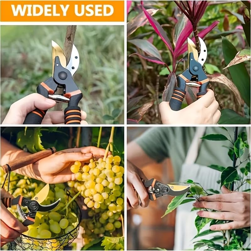 Image of Daccfy 8 Inch Gardening Scissors -Pack of 1 | Plants Scissor | Garden Shear Tree Branch Pruner | Gardening Cutter Tool | Plant Cutter for Home Garden | Wood Branch Trimmer