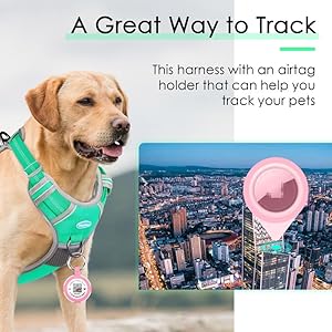   ThinkPet-No-Pull-Harness-for-Small-Medium-Large-Dogs-with-Airtags-Holder-Reflective-Dog-Harnesses-with-Dog-QR-Code-Smart-ID-Tag-Airtags-Holder-Harness-BackFront-Clip-for-Easy-Control-Teal-S