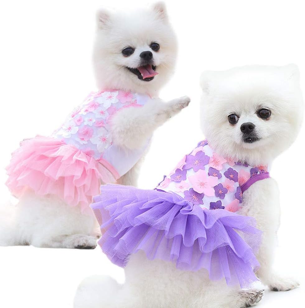 female dog clothes