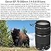 Canon EOS Rebel T7 DSLR Camera with 18-55mm is II Lens Bundle + Canon EF 75-300mm f/4-5.6 III Lens + 420-800mm HD Super Zoom Lens + 2X 64GB Cards + Filters + Flash + Monopod + Pro Kit