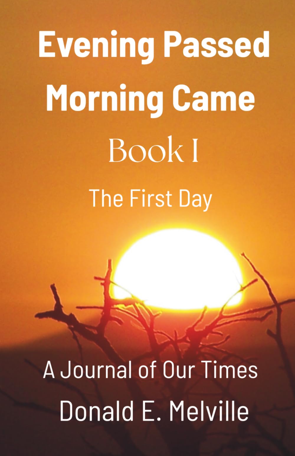 Evening Passed / Morning Came / Book I / The First Day: A Journal of Our Times