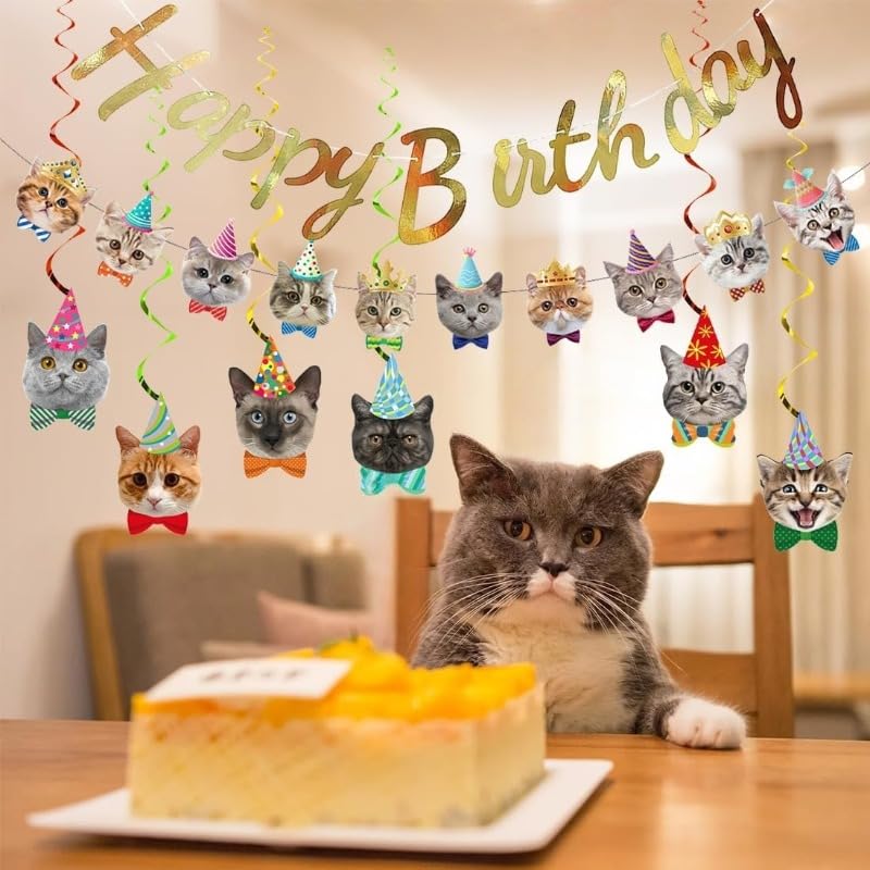 Catálogo de Pack de artículos para fiestas - solo los mejores. 18 Imagen adicional